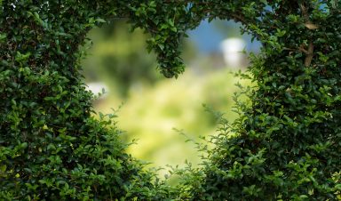 Sustainable leadership image of heart made of greenery