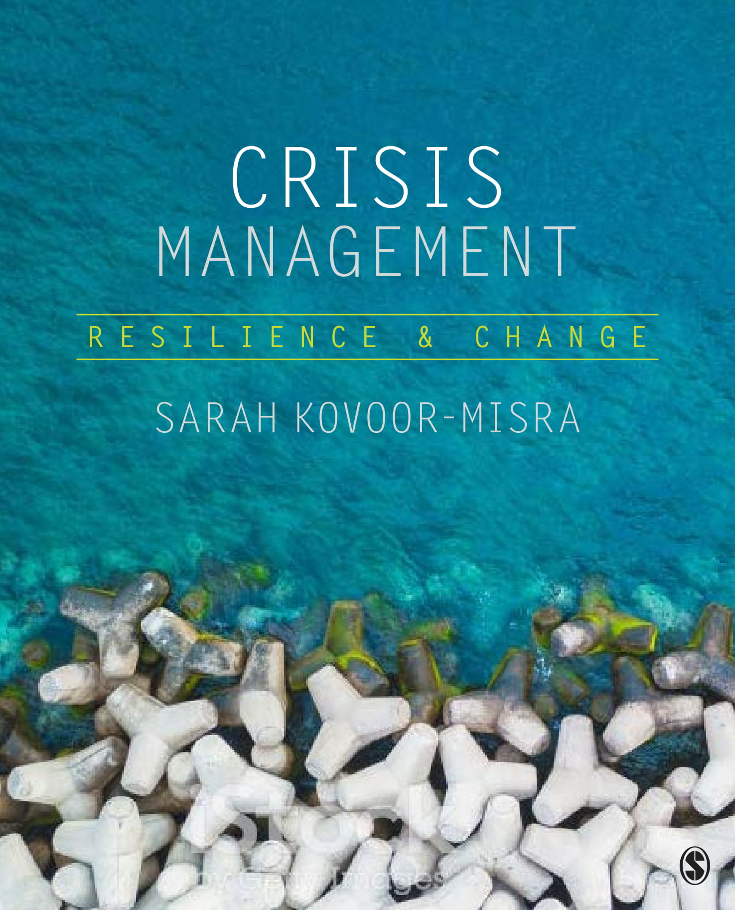 phd dissertation on crisis management